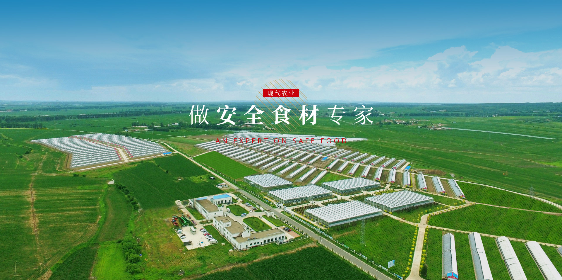 俄罗斯·专享会294VIP(中国区)官方网站