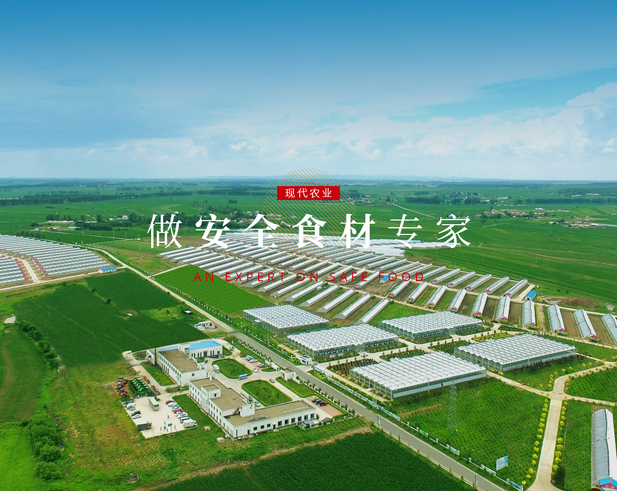 俄罗斯·专享会294VIP(中国区)官方网站