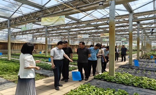 2024年6月27日，中国绿色食品发展中心相关领导莅临农业总公司考察调研_副本.jpg