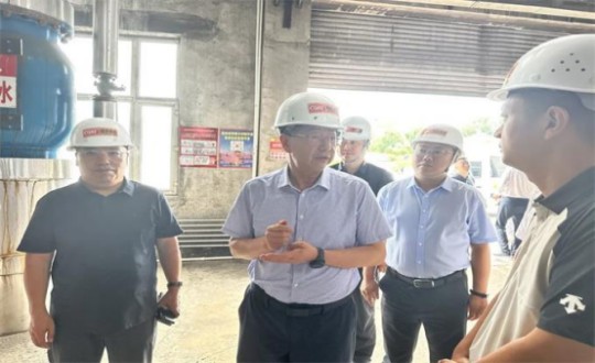 6.1伊通满族自治县县委书记孙立阳一行领导莅临俄罗斯专享会294VIP官方网站供热总公司伊通供热分公司第二热源厂开展调研（不够清晰，帮忙调整）_副本.jpg
