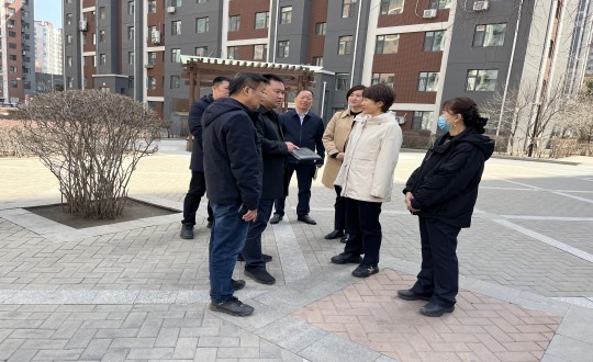 7.长春市朝阳区区长鲁晓光一行莅临俄罗斯专享会294VIP官方网站?南湖公馆小区参观指导_副本.jpg