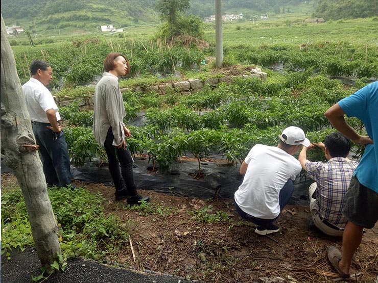 人生就是搏·(中国区)官方网站