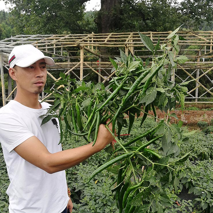 人生就是搏·(中国区)官方网站