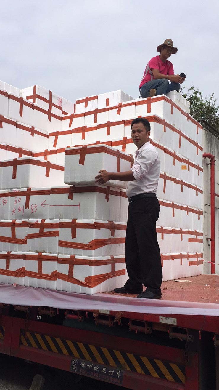 人生就是搏·(中国区)官方网站