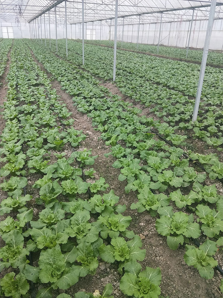 人生就是搏·(中国区)官方网站