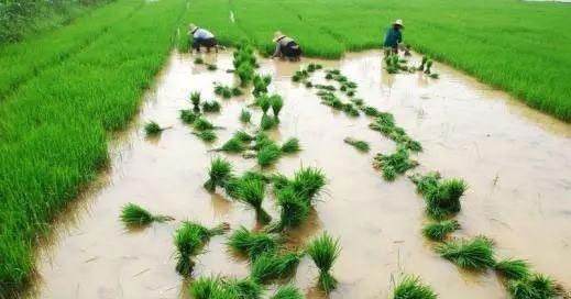 人生就是搏·(中国区)官方网站