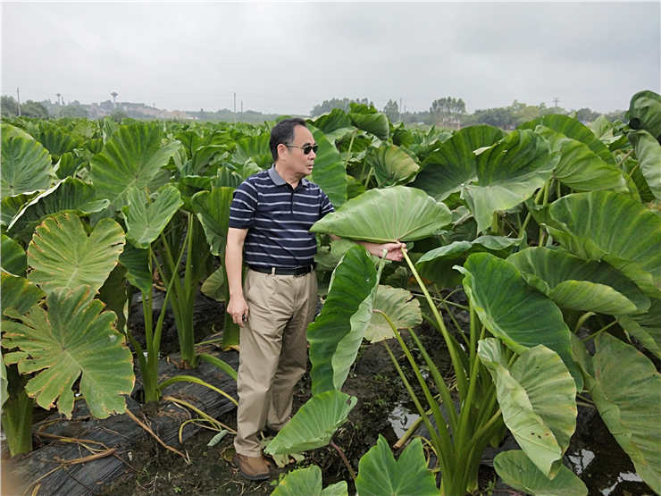 人生就是搏·(中国区)官方网站