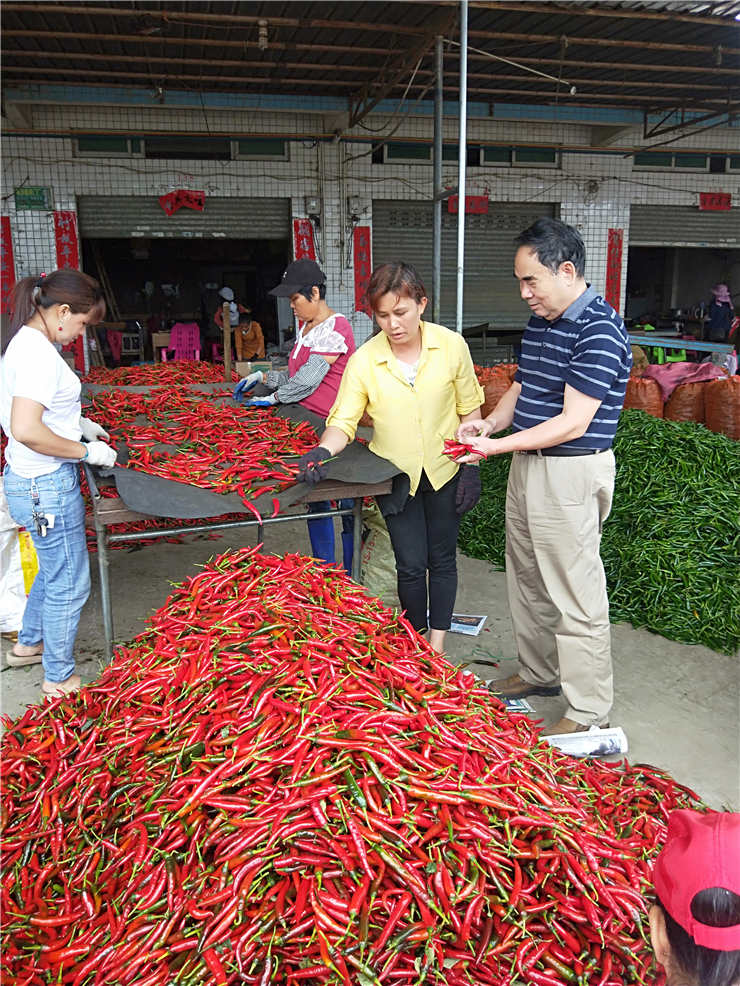 人生就是搏·(中国区)官方网站