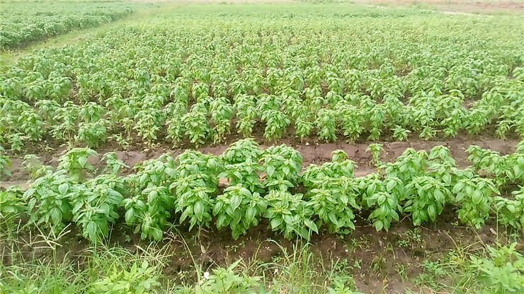 人生就是搏·(中国区)官方网站