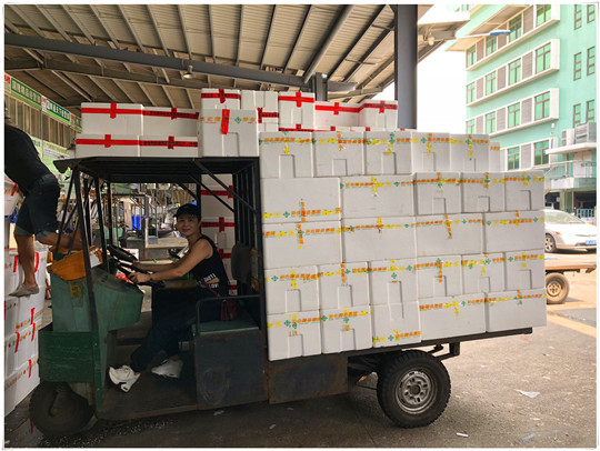 人生就是搏·(中国区)官方网站