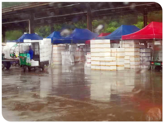 人生就是搏·(中国区)官方网站