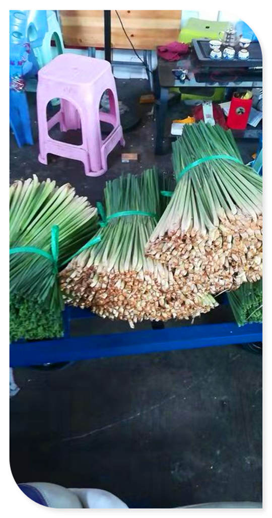 人生就是搏·(中国区)官方网站