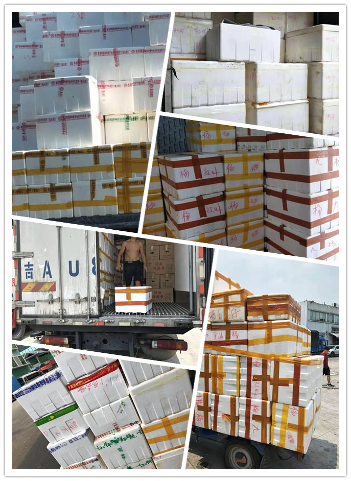 人生就是搏·(中国区)官方网站