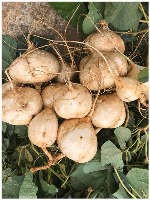 人生就是搏·(中国区)官方网站