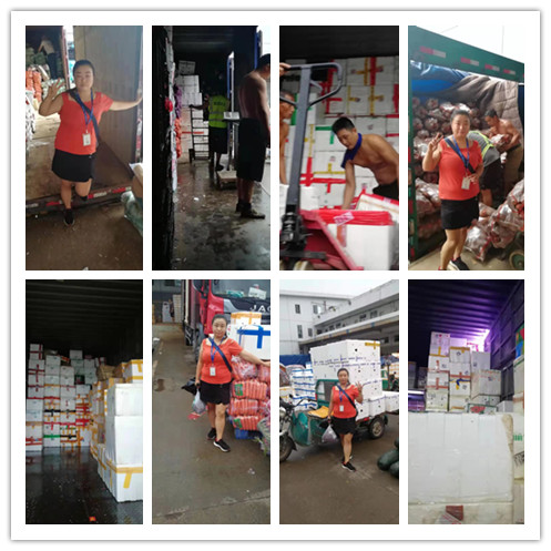 人生就是搏·(中国区)官方网站