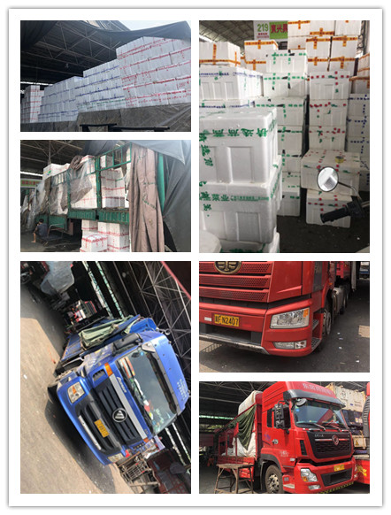 人生就是搏·(中国区)官方网站