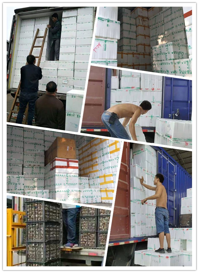 人生就是搏·(中国区)官方网站