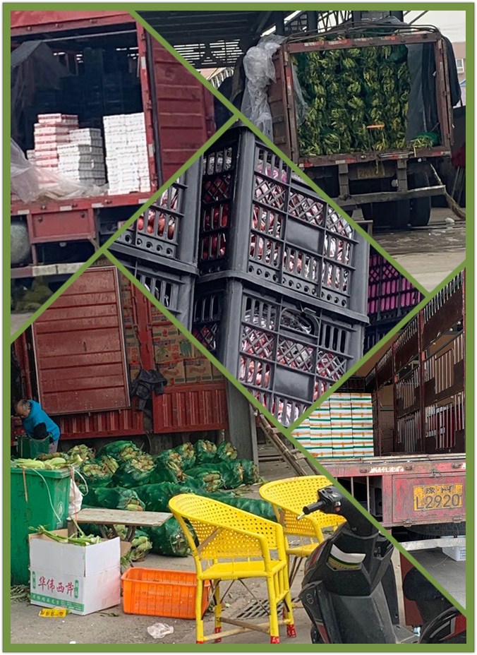 人生就是搏·(中国区)官方网站